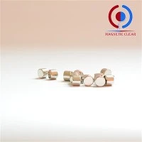 Magnet Neodimium 6x6